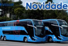10 Melhores Empresas de Ônibus Interestadual em Goiânia que você precisa conhecer