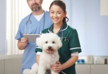 10 Melhores Hospitais Veterinários em Aparecida de Goiânia