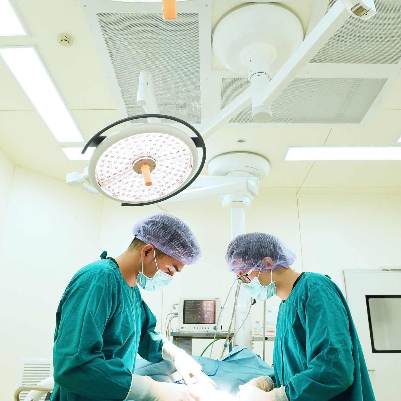 10 Melhores Hospitais Veterinários em Senador Canedo GO