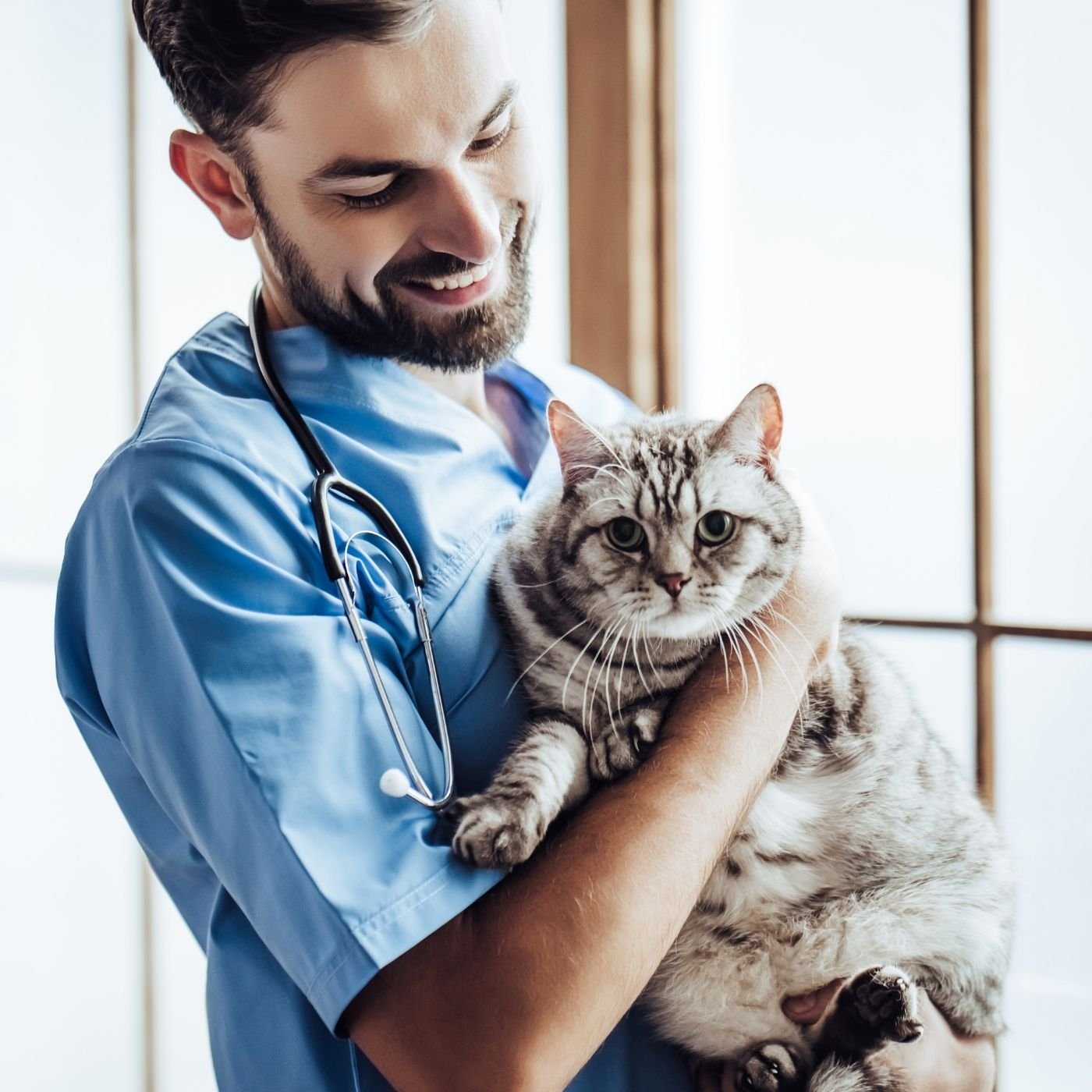 10 Melhores Hospitais e Clinicas Veterinárias em Inhumas GO