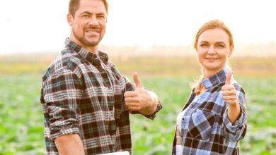 10 Maiores Multinacionais e Grandes Empresas em Jataí GO