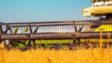 10 Maiores Multinacionais e Grandes Empresas em Itumbiara GO