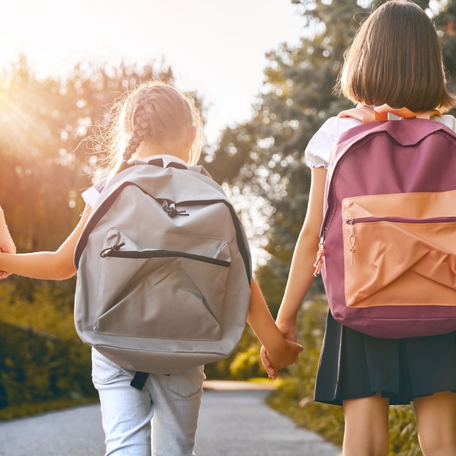 Conheça 59 empresas de Transporte escolar em RIO VERDE GO