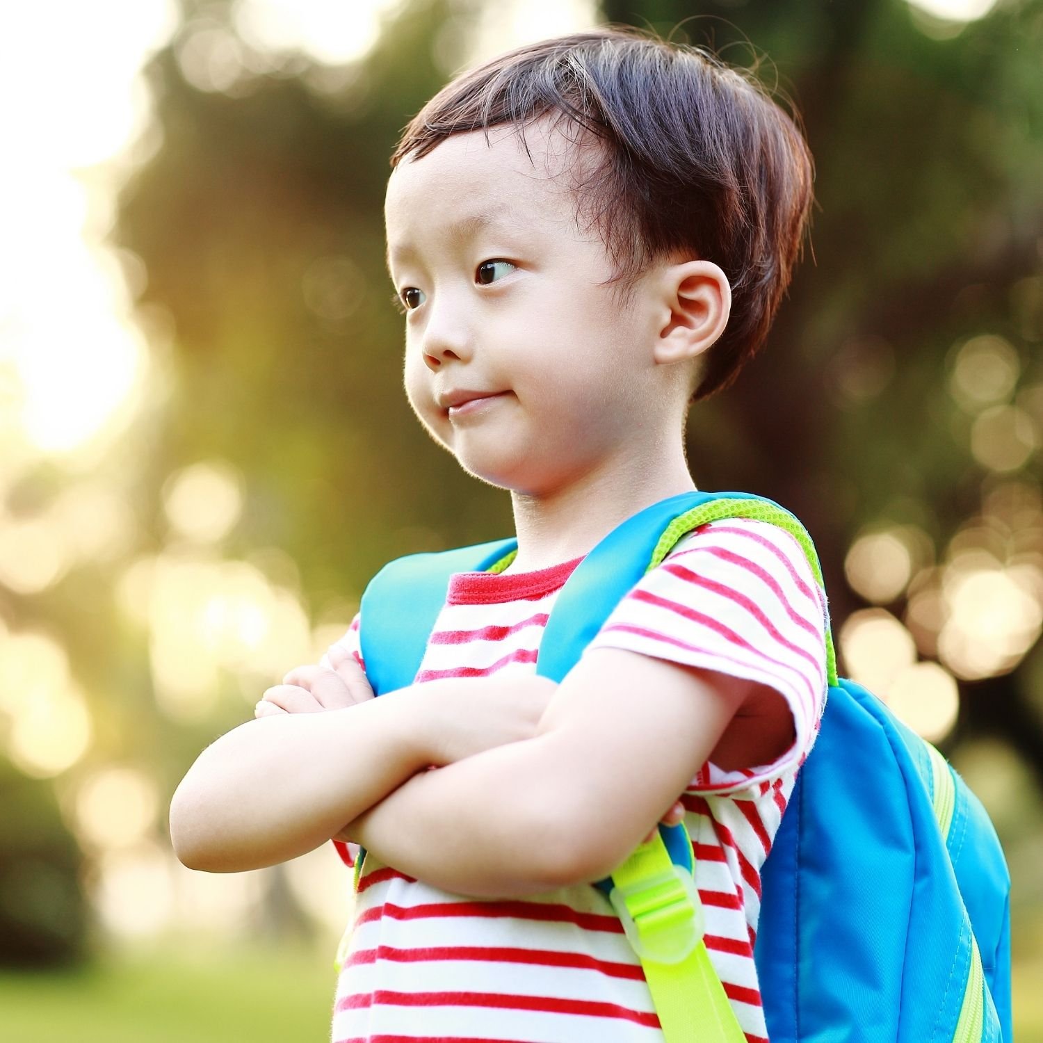 Conheça 75 empresas de Transporte escolar em GOIÂNIA GO